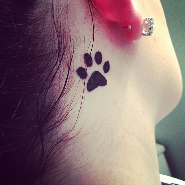 dog paw tattoo behind ear