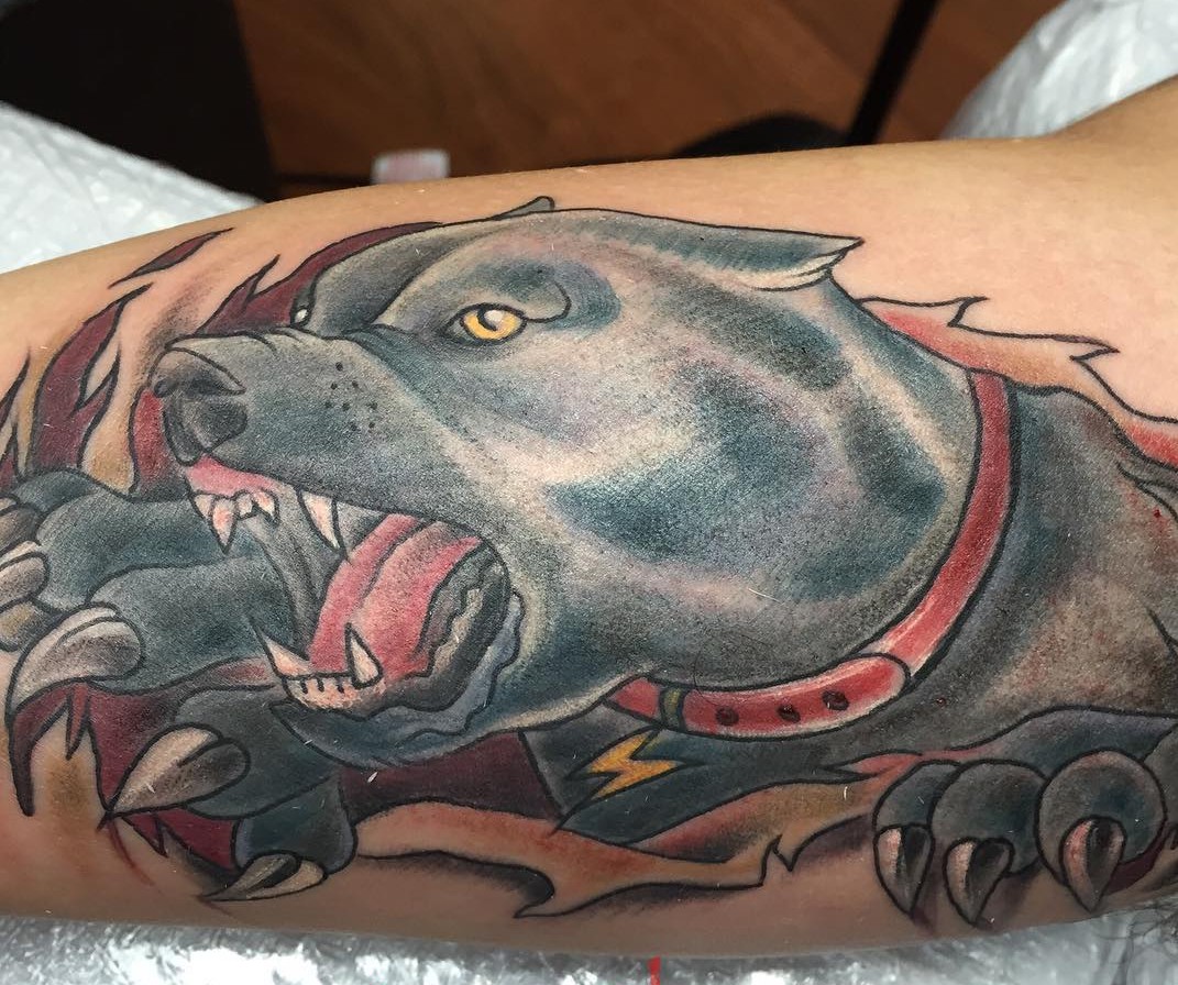70+ Pitbull Tattoo Designs & Meanings For the Dog Lovers (2019)
