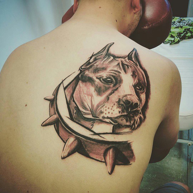 70+ Pitbull Tattoo Designs & Meanings For the Dog Lovers (2019)