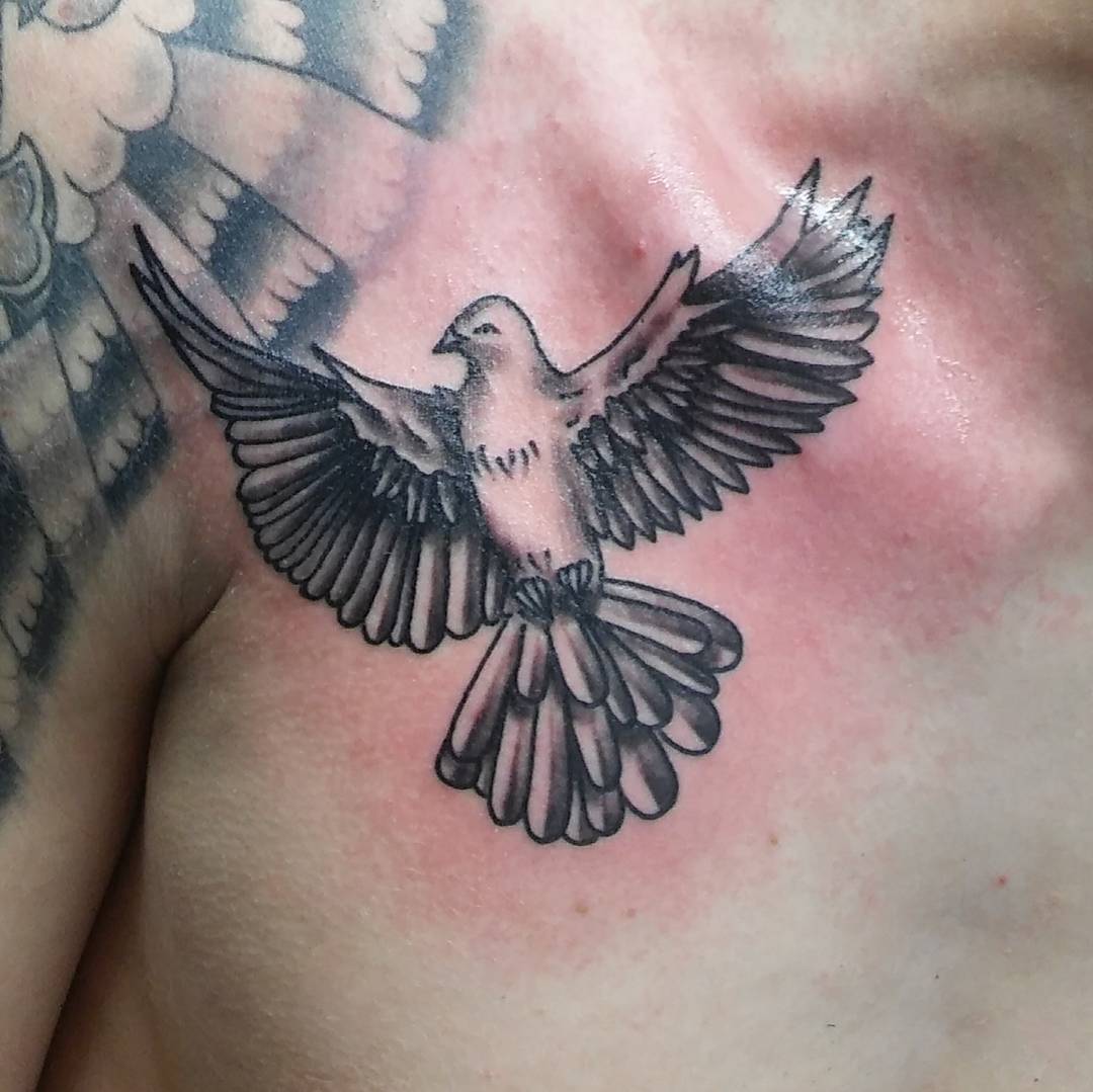 75+ Dove Tattoo Designs and Symbolic Meaning Peace
