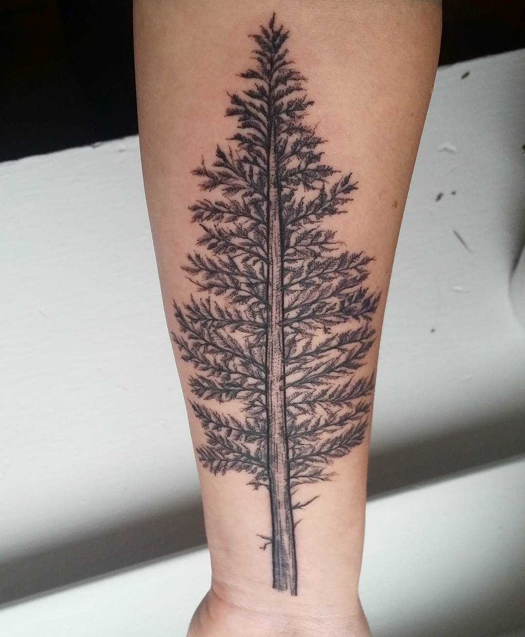 (1080×1311) Pine tree tattoo