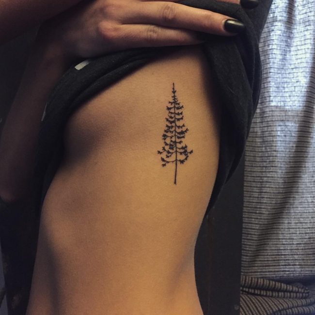 75+ Simple and Easy Pine Tree Tattoo  Designs  Meanings 2019