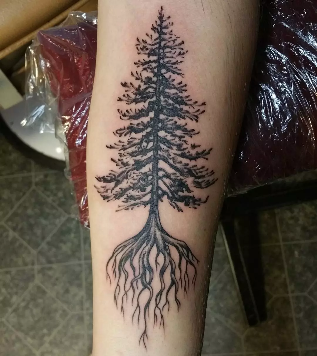 75+ Simple and Easy Pine Tree Tattoo Designs & Meanings (2019)