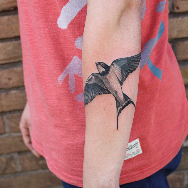 Swallow Bird Tattoo Pictures 76
