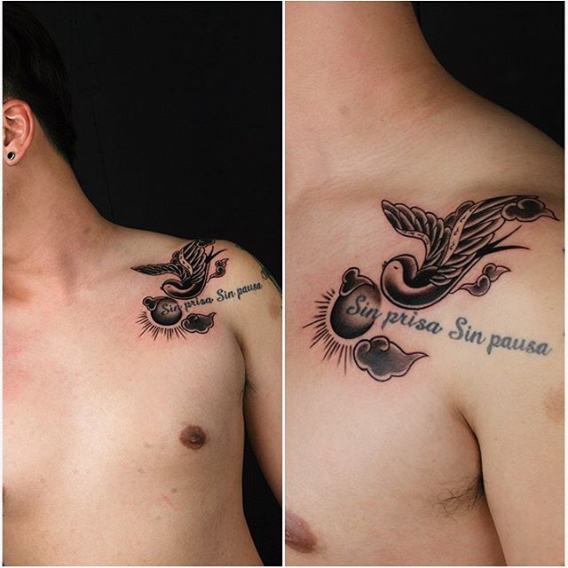 80 Best Swallow Bird Tattoo Meaning And Designs Fly In The Sky