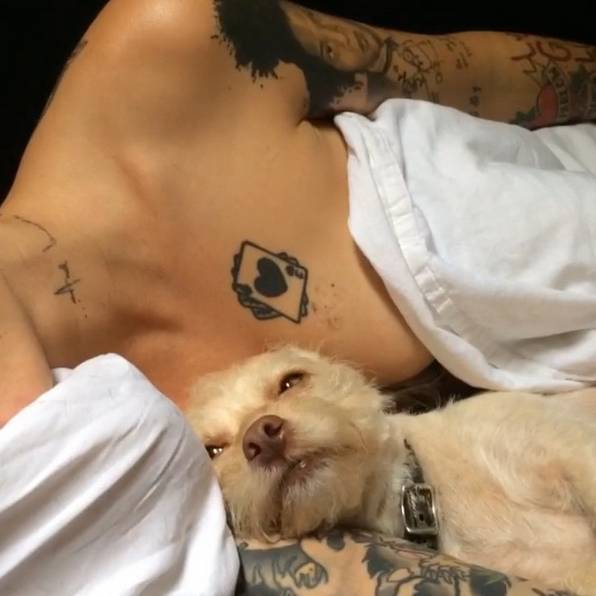 stunning ruby rose tattoos all you ever wanted to know stunning ruby rose tattoos all you ever wanted to know