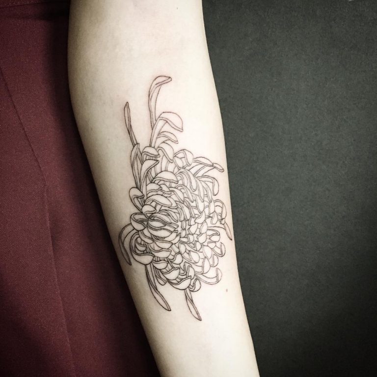 75+ Cool Chrysanthemum Tattoo Designs Pass Your Message Across