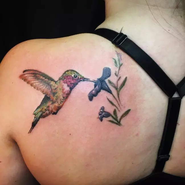 80+ Best Watercolor Hummingbird Tattoo Meaning and