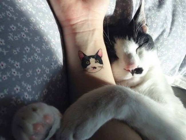 cat tattoo