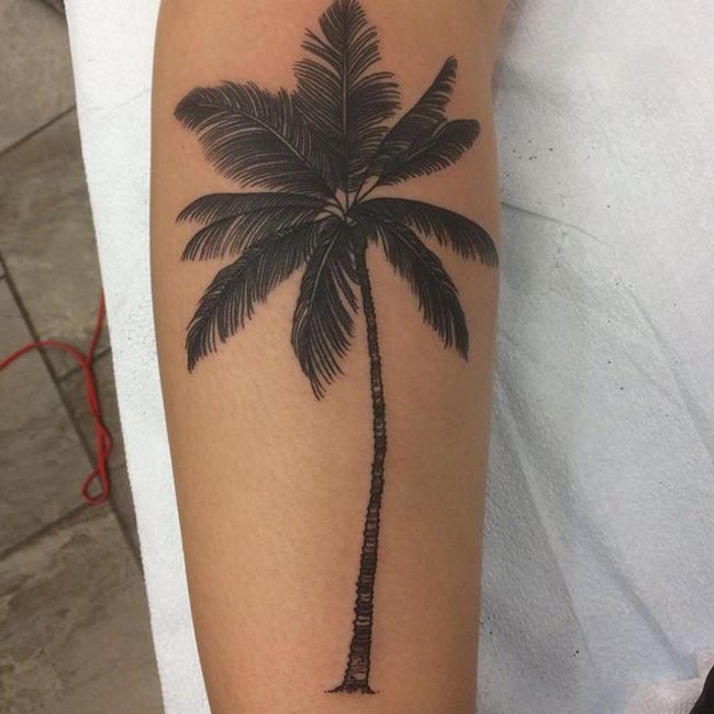 palm tree tattoos