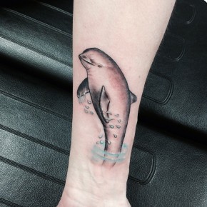 65+ Best Dolphin Tattoo Designs & Meaning - 2019 Ideas