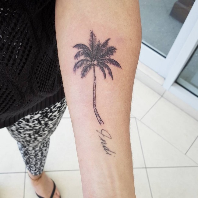 Palm Tree with Christmas Lights  Matteo at Elegant Goat Tattoo Pomezia  Italy  rtattoos