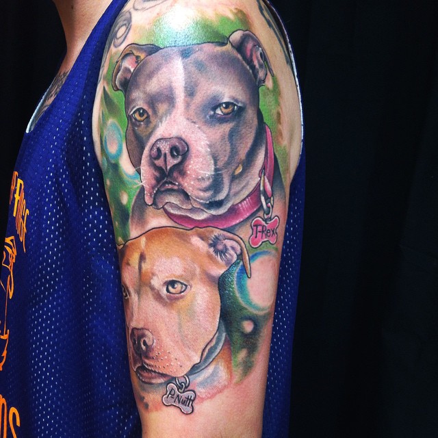 pitbull tattoos