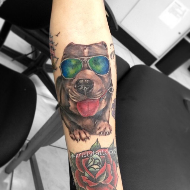 pitbull tattoos