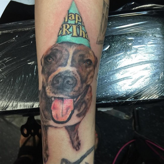 pitbull tattoos