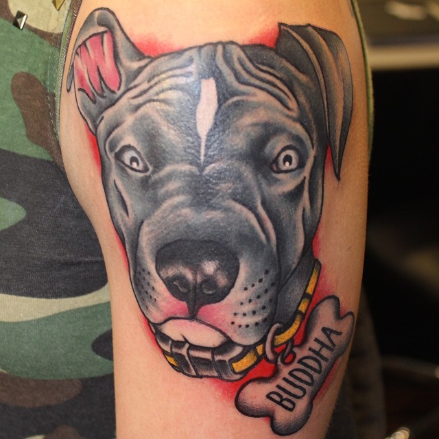 pitbull tattoos