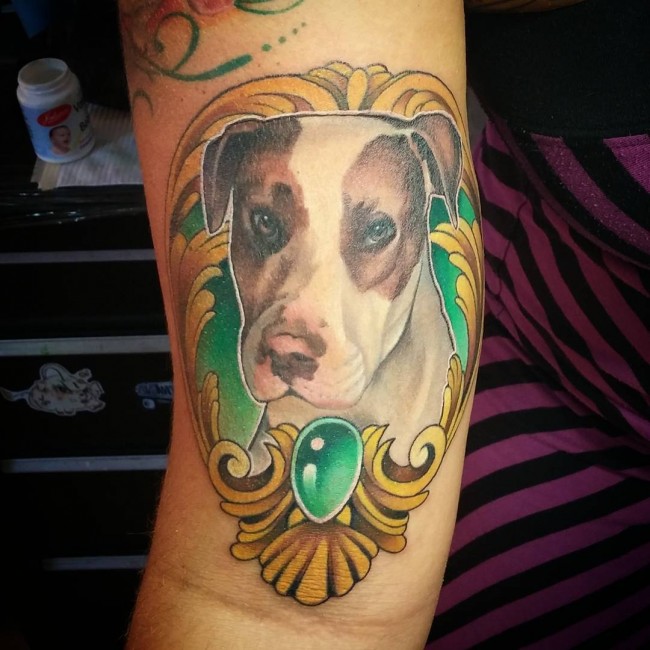 pitbull tattoos