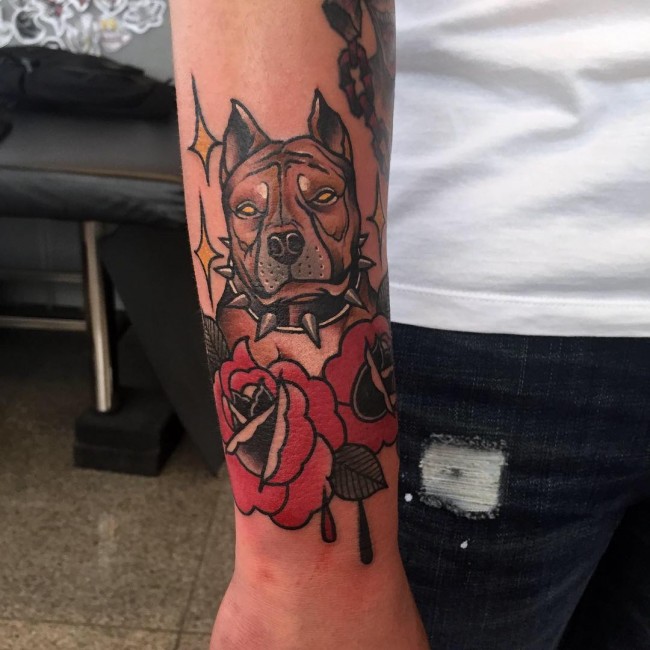 pitbull tattoos