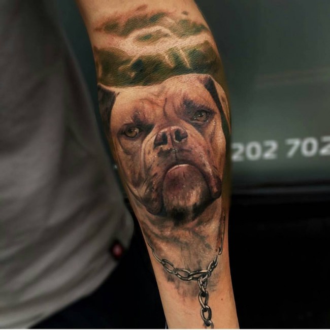 pitbull tattoos