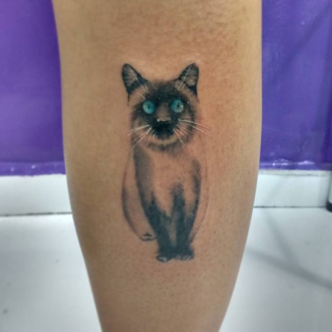 Cat Tattoo_