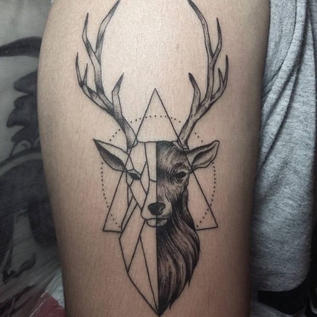 120+ Best Deer Tattoo Meaning and Designs - Wild Nature (2019)