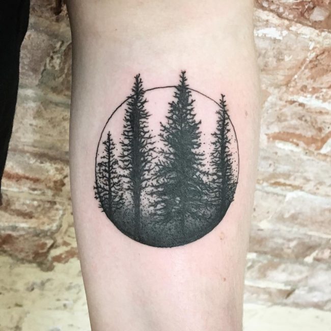 pine tree tattoo designs