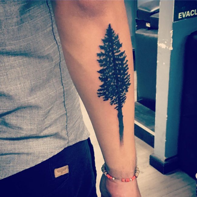 pine tree tattoos