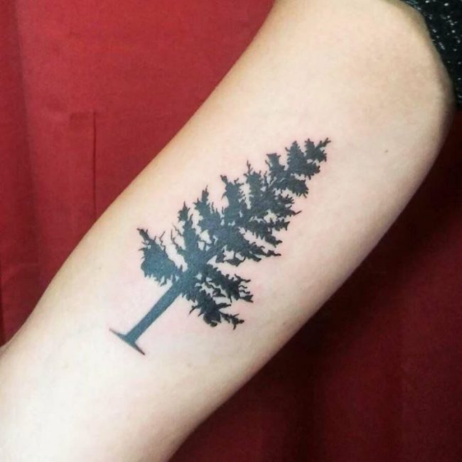 pine tree tattoos