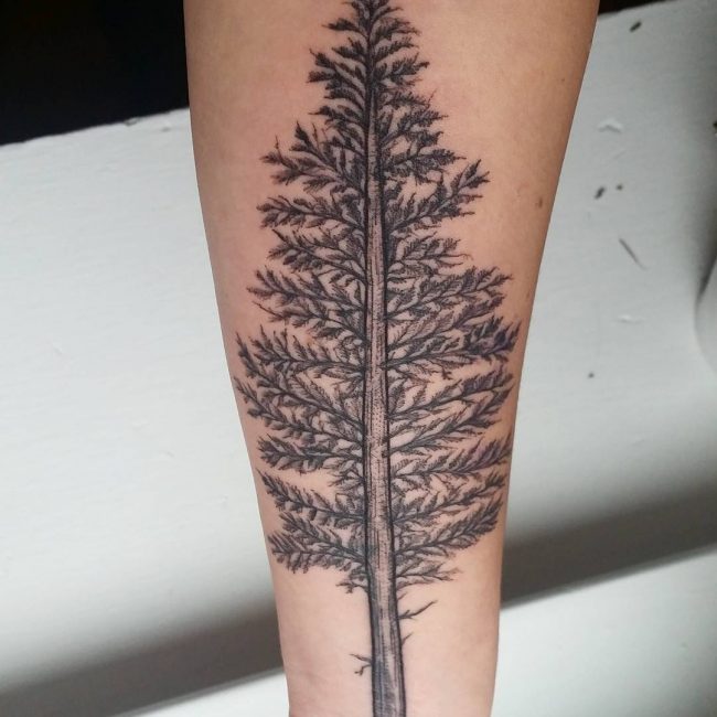 pine tree tattoos