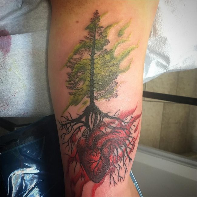 pine tree tattoos