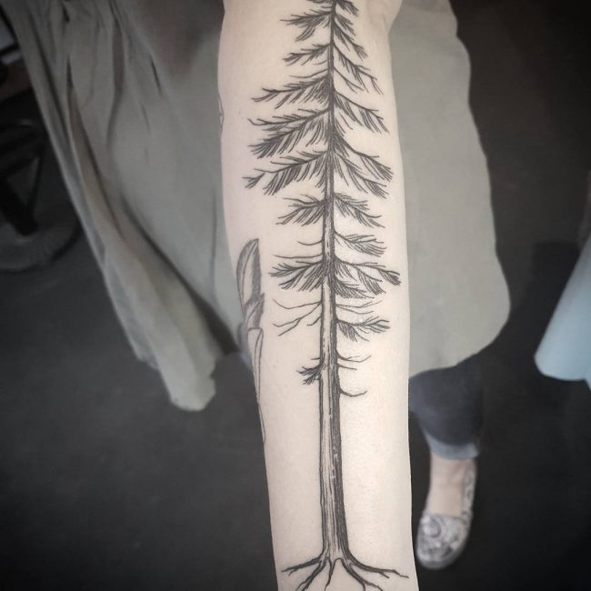 pine tree tattoos