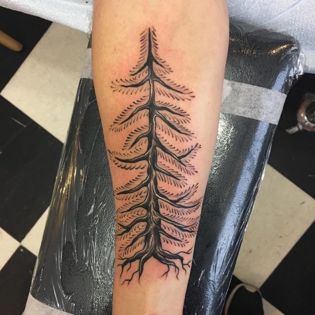 pine tree tattoos