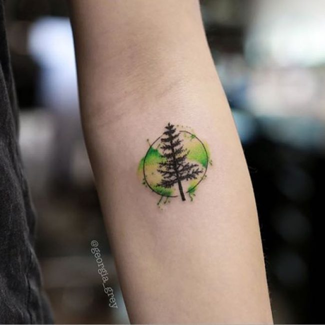 pine tree tattoos