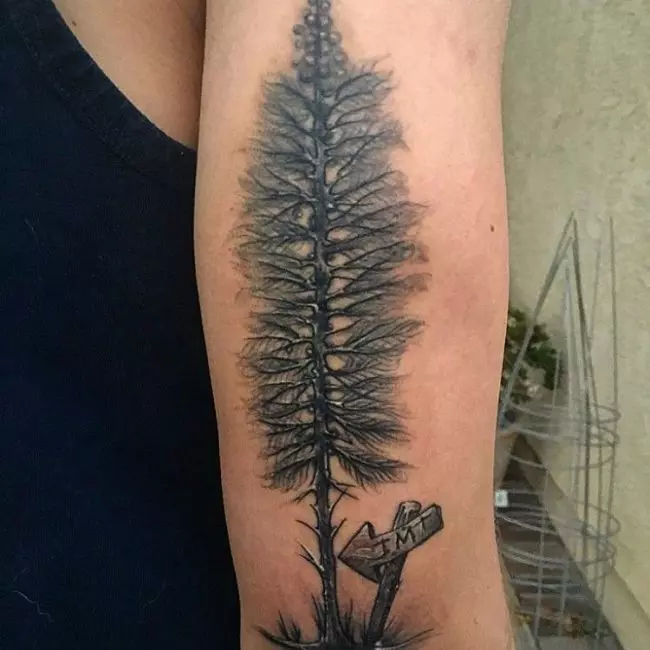 pine tree tattoos