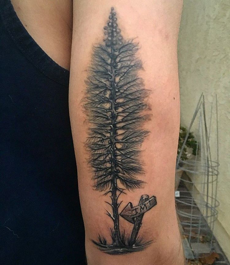 Pine cone tattoo design