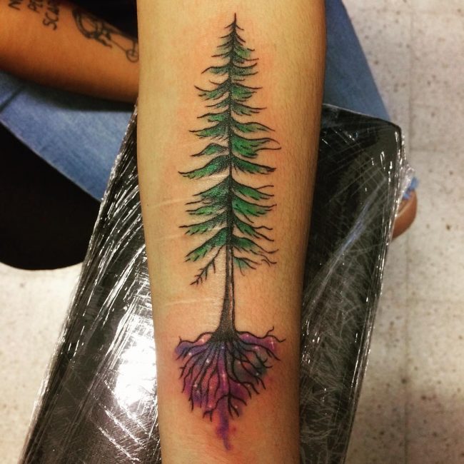 pine tree tattoos