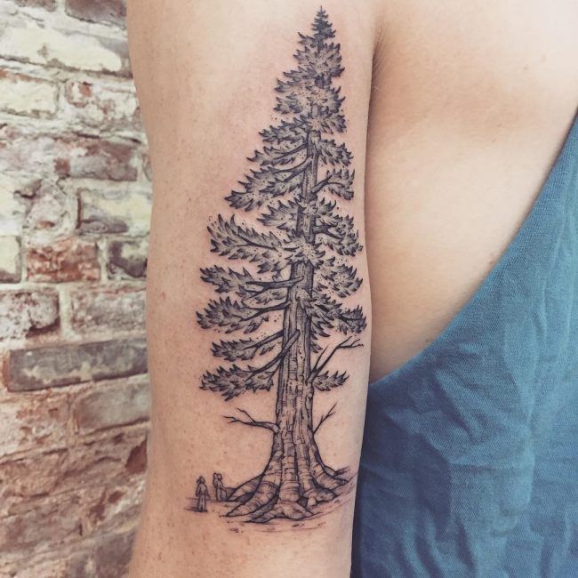 pine tree tattoos