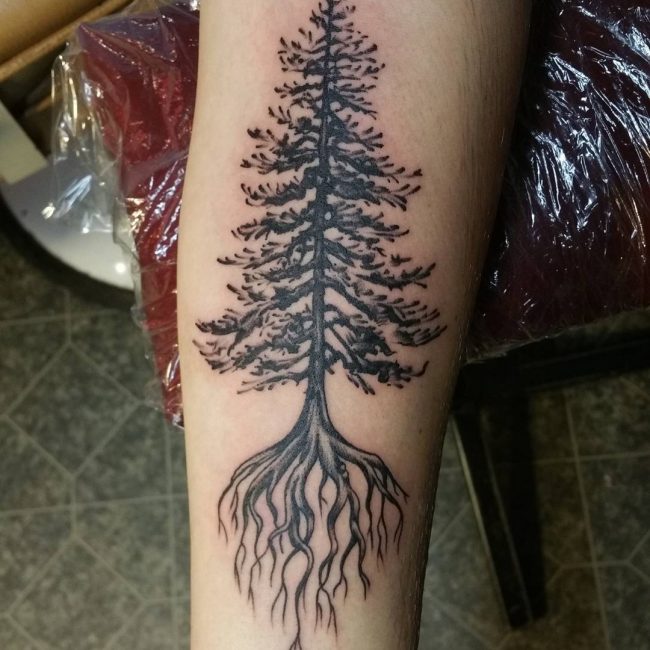 pine tree tattoos