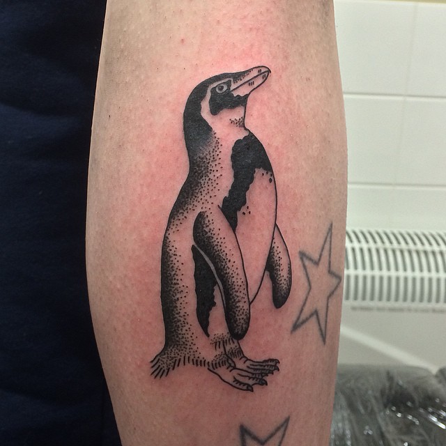 75+ Best Penguin Tattoo Designs & Meanings Northern Friends (2019)