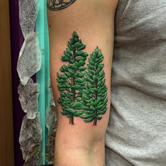 ponderosa pine tattoo