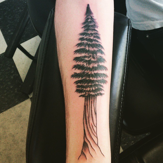 pine tree tattoos