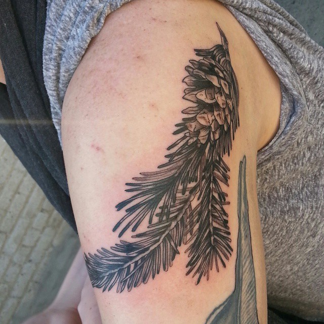 fir tree branch tattoo