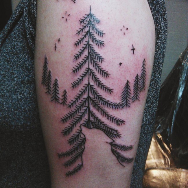 75+ Simple and Easy Pine Tree Tattoo - Designs & Meanings (2019)