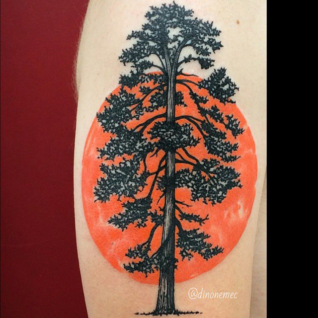 pine tree tattoos