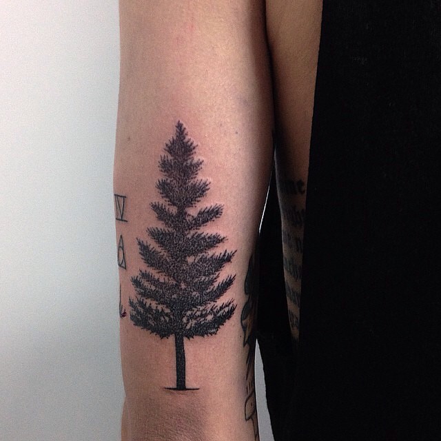 Ponderosa pine tree for Andrew! #pinetreetattoo #armtattoo #finelineta... |  TikTok