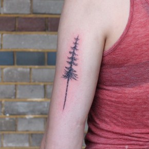 75+ Simple and Easy Pine Tree Tattoo - Designs & Meanings (2019)