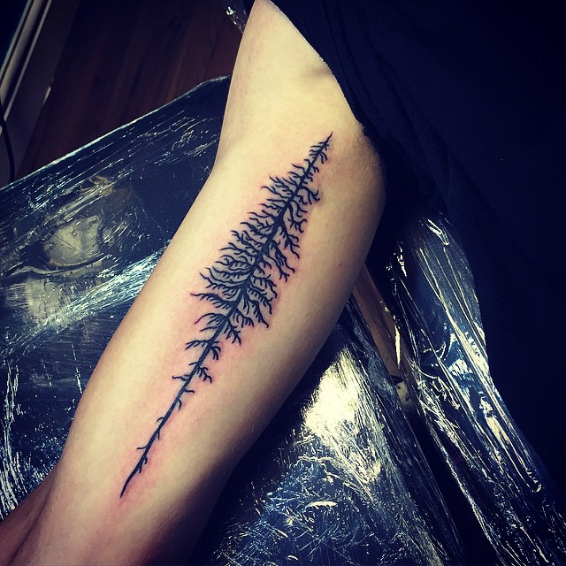 75+ Simple and Easy Pine Tree Tattoo - Designs & Meanings (2019)