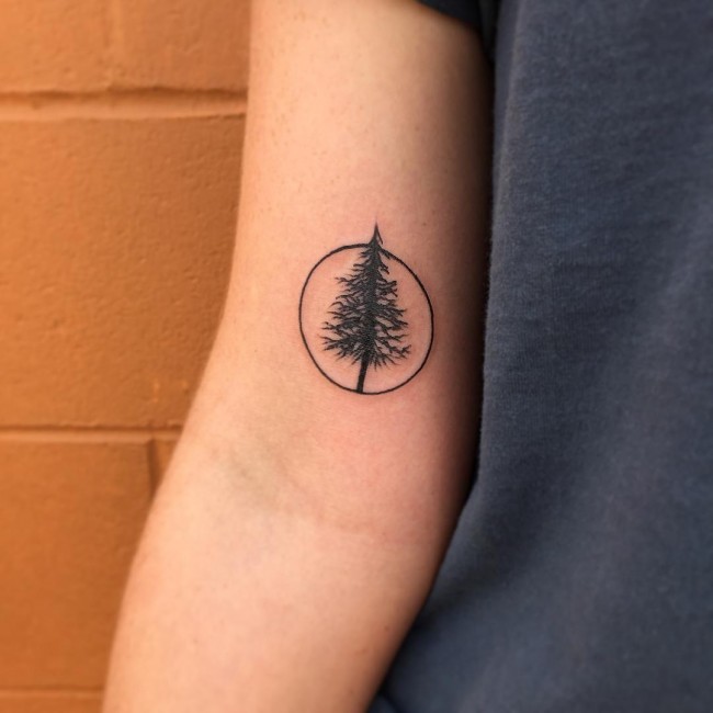 pine tree tattoos