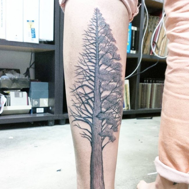 pine tree tattoos