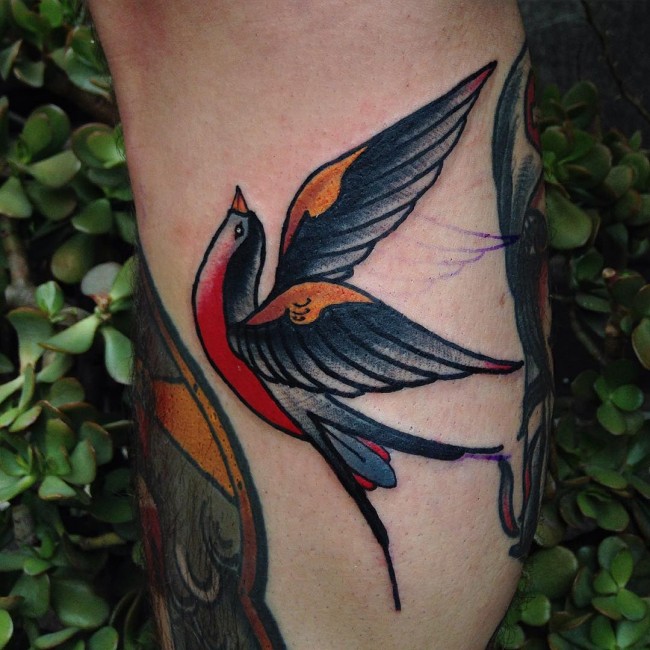 swallow tattoos